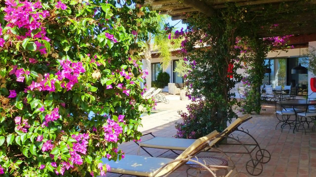 Sharish - Monte Das Estevas Estremoz Extérieur photo