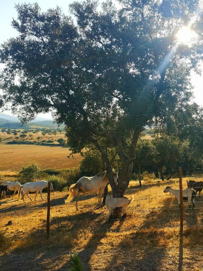 Sharish - Monte Das Estevas Estremoz Extérieur photo