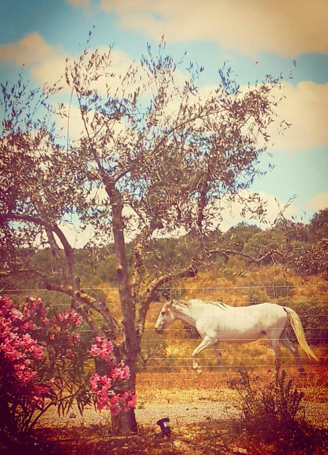 Sharish - Monte Das Estevas Estremoz Extérieur photo