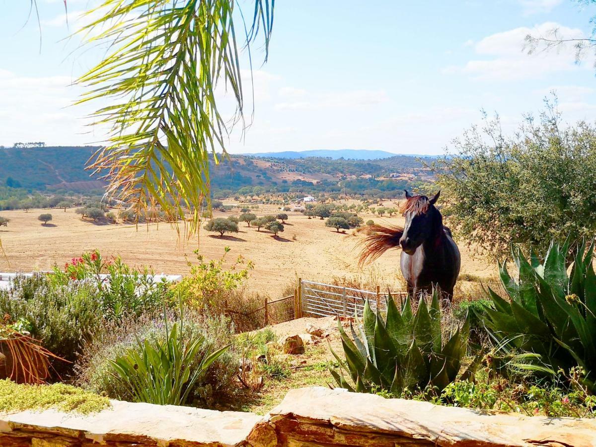 Sharish - Monte Das Estevas Estremoz Extérieur photo
